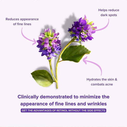 Anti - Aging Bakuchiol Eye Serum - Retinol Alternative - SeeTheGlow