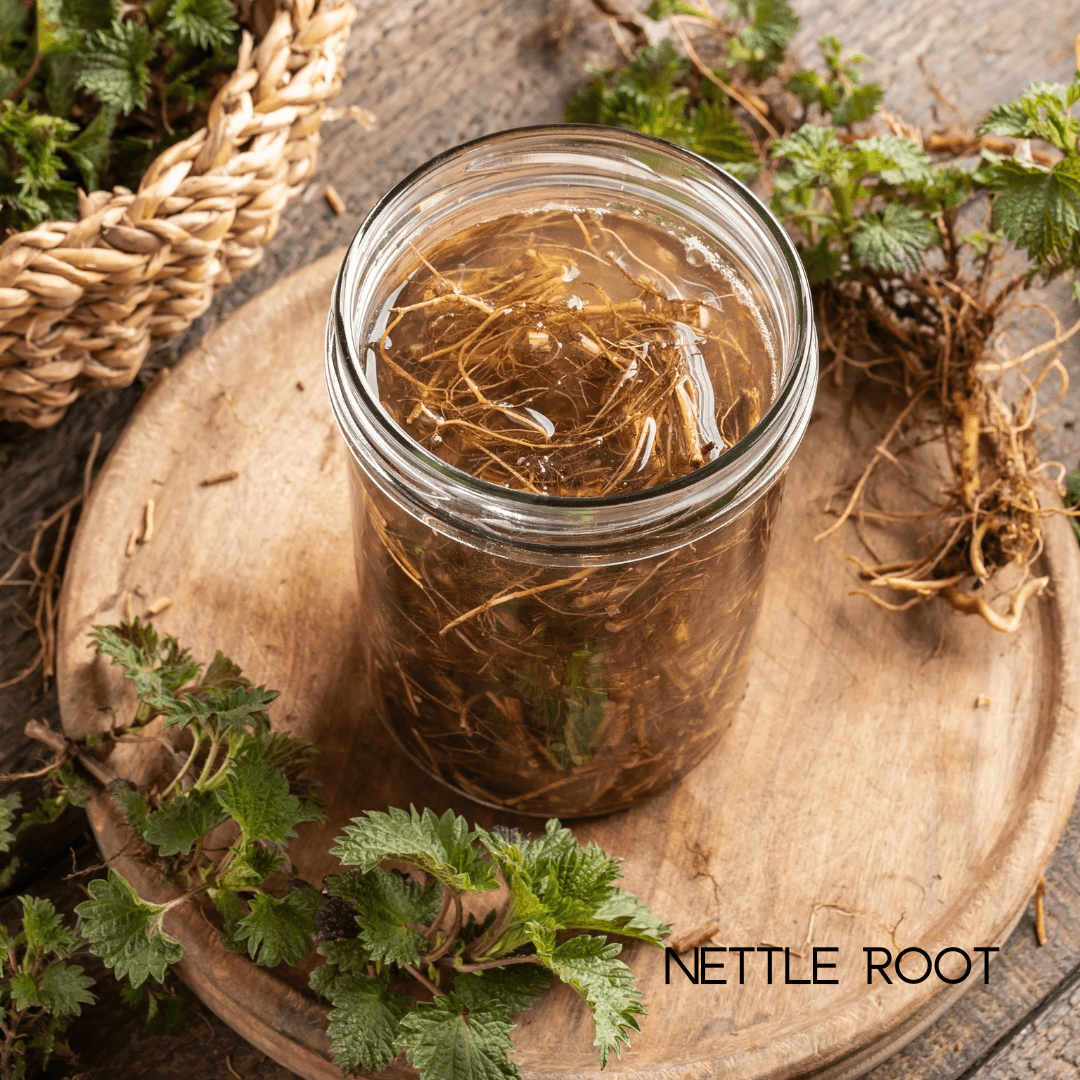 Women’s Health Multivitamins - SeeTheGlow